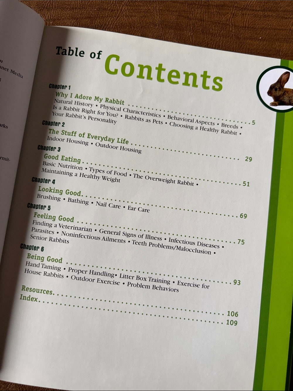 Animal Planet- Rabbits Book - Picture 3 of 6